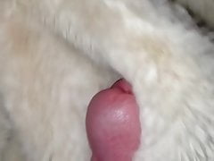 Cumming on my sisters fur coat