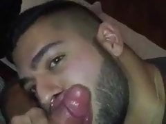 Cum eating pig