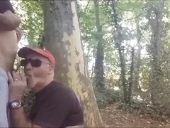 plan direct au bois
