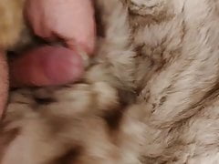 fur relaxing
