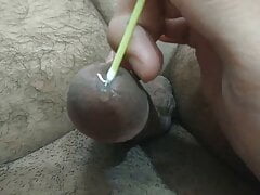 Must watch Fucking my dick with 2 ear swabs urethral sounding
