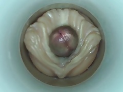 Hangover Hornies 2 by cum cam man