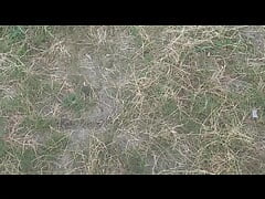 Collage of fun nature sex and ejaculation clips
