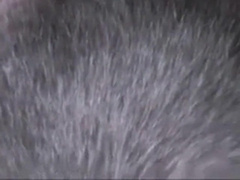 Twink's Shaved Hole Tongued by Amateur