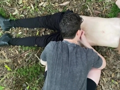 Bj in the Forest