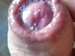 Uncut precum 2