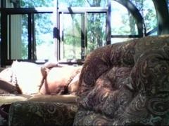 grandpa show on webcam 10