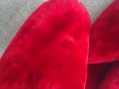 Red slippers