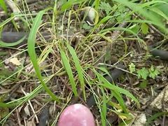 Spraying in nature