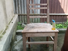 Beef Whistle porking