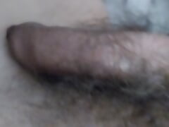 My dick from soft to hard