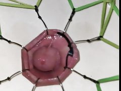 Fishhooks through foreskin