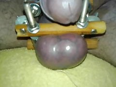 BIG COCK AND BIG BALLS