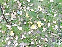 Mushroom hunting