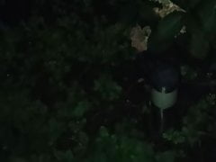 Abspritzen in der Nacht ( Cumshot at night )