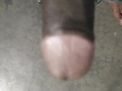 Lund asian