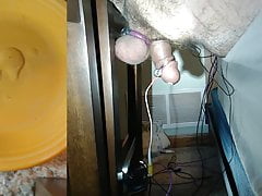 Estim milking