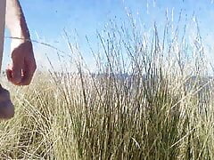 Nude walking through the Dutch dunes
