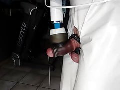 Milking an gumming