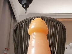 anal introduction of the 60-70 plug in session 27.  20220216 - session 027