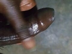 Tamil bbc ool