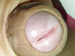 Cock pulse