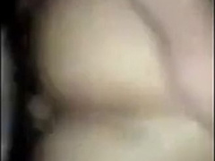 Bear giving hard to friend 7