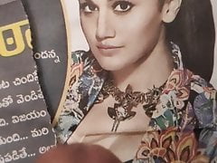 Kerygma Anil Tapsee Nidhi Agarwal marine