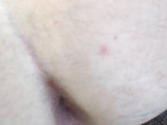 francis 2