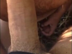Oral At The Beach