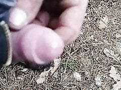 Wood