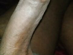 Need a pussy where this can be rested