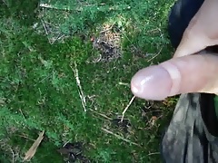 Abspritzen im Wald