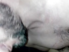 Sucking Bear