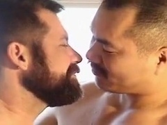 Gay bears