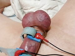 Cock tortur