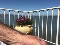 PARENT has a Jerk OUTSIDE