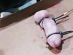 Hands free orgasam with 2bestim