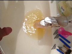 My Urine Sample