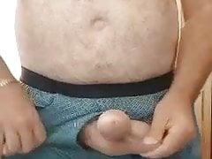 Oso maduro paja