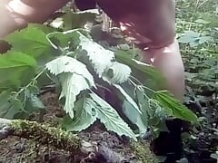 Nettles