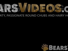 Bears Mark Matthews and Devan Roy got into their MATING SESSION