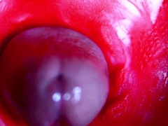 Extraordinary close-up ASMR head inwards raw twat