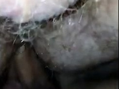 Hi KC Dane Viking a Ginger Teddy