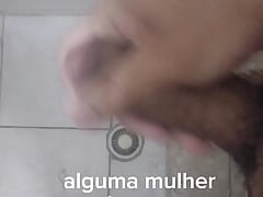 Pau mediano a procura de um gata