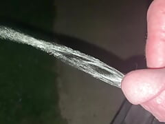 My FOUR TWENTY Piss