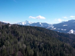 Colton Reece And Pietro Duarte - Best Adult Movie Homosexual Tattoo Unbelievable Ever Seen