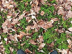 watch my dick growing in the Forest