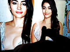 Pooja hegde cumtribute teaser birthday special
