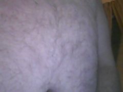 chubby bear jacking off